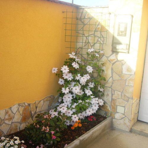 Kustanygyongye Vendeghaz Kehidakustany Διαμέρισμα Εξωτερικό φωτογραφία
